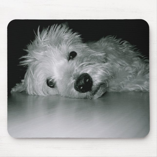 Entspannendes Westie Mousepad (Vorne)