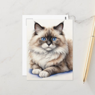 Entspannte Ragdoll Katze Illustration Gemütliches  Postkarte