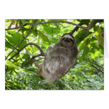 Entspannte Schlucht in der Natur