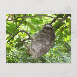 Entspannte Schlucht in der Natur Postkarte