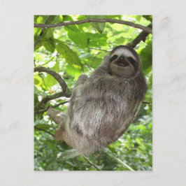 Entspannte Schlucht in der Natur Postkarte