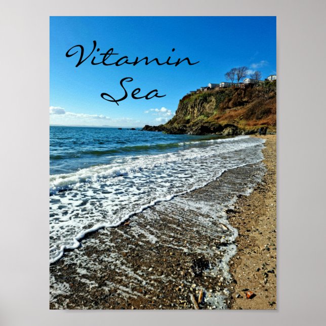 Entspannte Strandvillen in Kinghorn, Fife, Schottl Poster (Vorne)