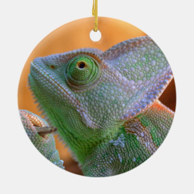 Entspannte Veiled Chameleon Keramikornament (Hinten)