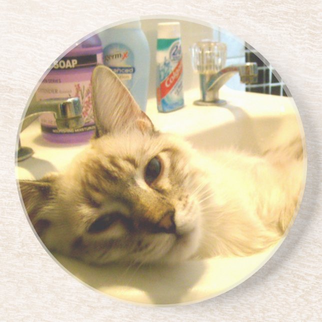 entspannter Kitty Untersetzer (Vorne)