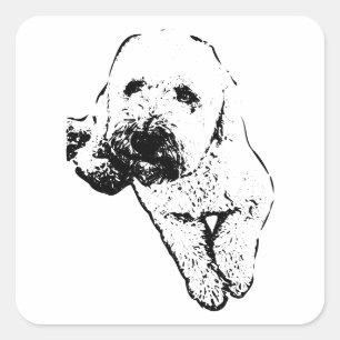Entspannter Lagotto-Welpe-Tinten-Kunst-Aufkleber Quadratischer Aufkleber