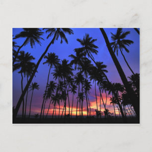 Entspanntes Design Florida fühlen Postkarte