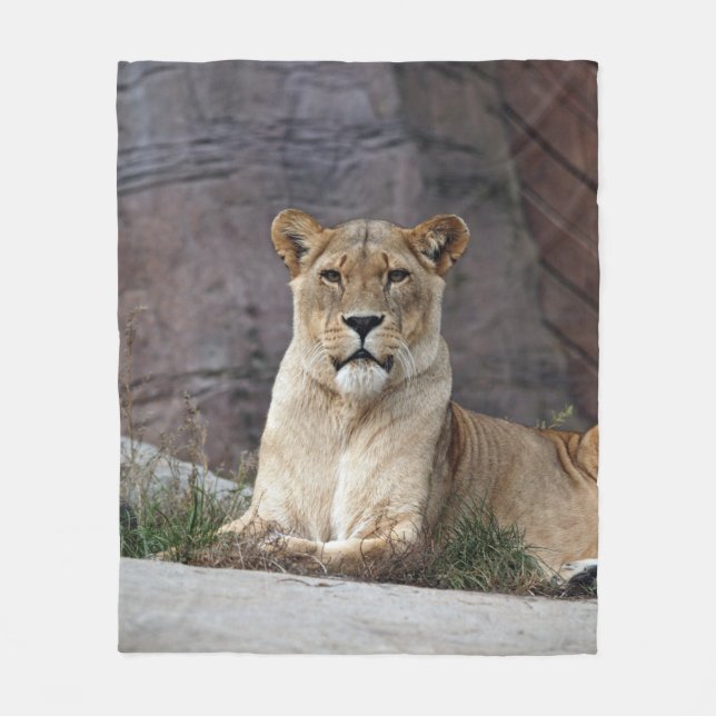 ENTSPANNUNG DER LIONENZ FLEECEDECKE (Vorderseite)