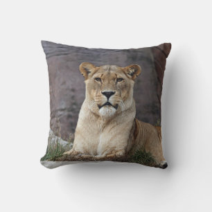 ENTSPANNUNG DER LIONENZ KISSEN