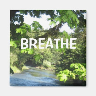 Entspannungsbild Magnet