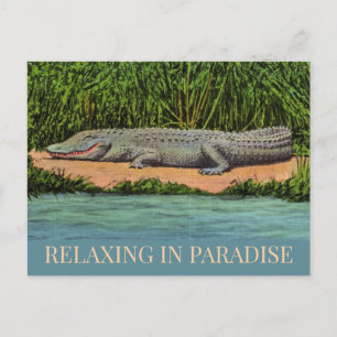 Entspannungspostkarte Florida-Gator Postkarte