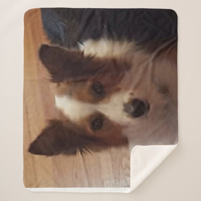 Entspannungstag Sherpadecke (Vorderseite)