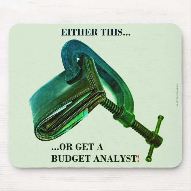 "Entweder das... oder einen Budgetanalysten einste Mousepad (Vorne)