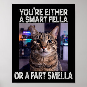 Entweder ein schlauer Kerl oder ein alberner Kerl Poster