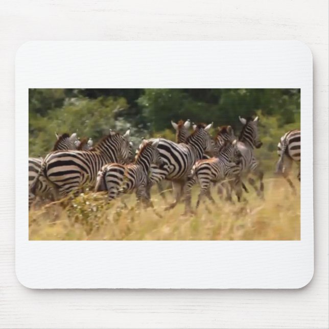 Entwerfen Sie Ihre eigene schöne Zebra Migration M Mousepad (Vorne)