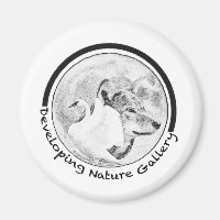 Entwicklung des Logos für die Naturgalerie
