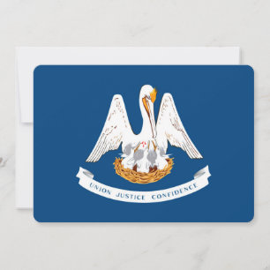 Entwurf der Staatsflagge in Louisiana