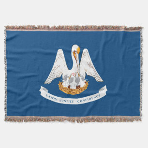 Entwurf der Staatsflagge in Louisiana Decke