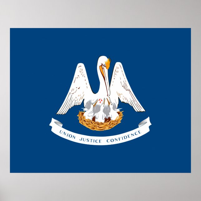 Entwurf der Staatsflagge in Louisiana Poster (Vorne)