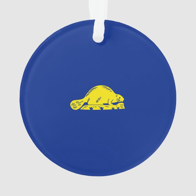 Entwurf der Staatsflagge in Oregon Ornament (Rückseite)