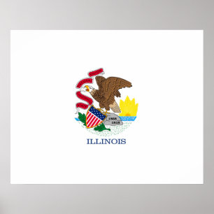 Entwurf der Staatsflagge von Illinois Poster