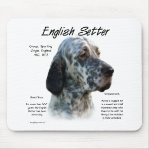 Entwurf des Historizentwurfs für englische Setter Mousepad
