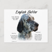 Entwurf des Historizentwurfs für englische Setter