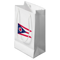 Entwurf des Staatsflagges Ohio