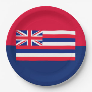 Entwurf eines Flaggenstaates in Hawaii Pappteller