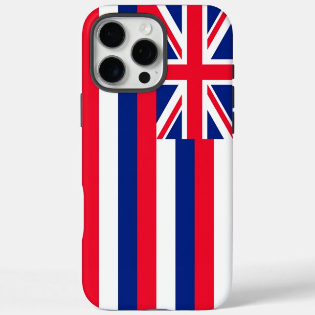 Entwurf eines Flaggenstaates in Hawaii title_seo2 (Rückseite)
