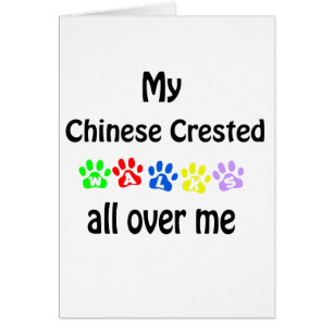 Entwurf für chinesisch entworfene Spaziergänge