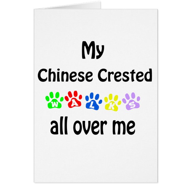Entwurf für chinesisch entworfene Spaziergänge (Vorne)