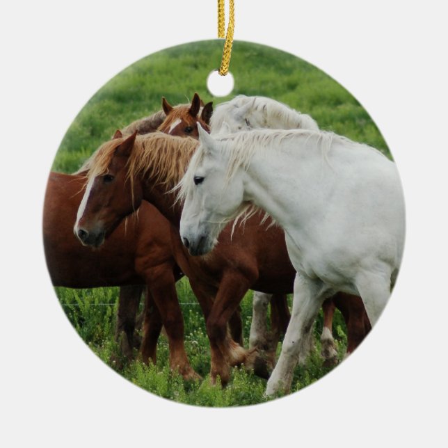 Entwurfs-Pferd Keramik Ornament (Vorne)