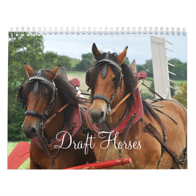Entwurfs-Pferde 2016 Kalender (Titelbild)