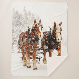 ENTWURFS-PFERDE im SCHNEE Sherpadecke
