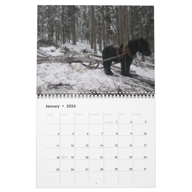 Entwurfs-Pferdefreundkalender Kalender (Jan 2026)