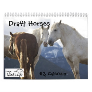Entwurfs-Pferdekalender #3 Kalender
