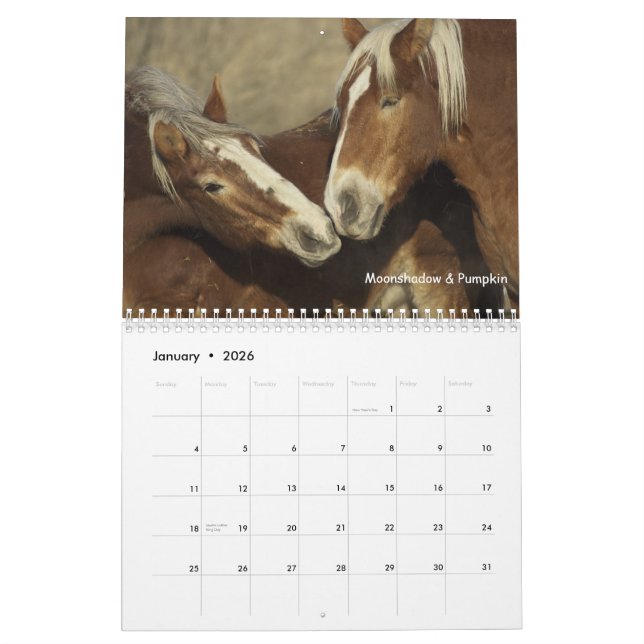 Entwurfs-Pferdekalender #3 Kalender (Jan 2026)