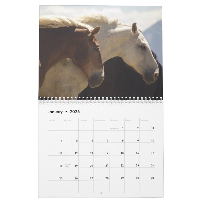 Entwurfs-Pferdekalender #4 Kalender (Jan 2026)