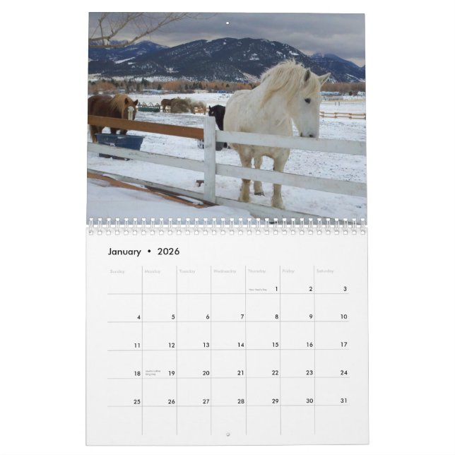 Entwurfs-Pferdekalender #5 Kalender (Jan 2026)