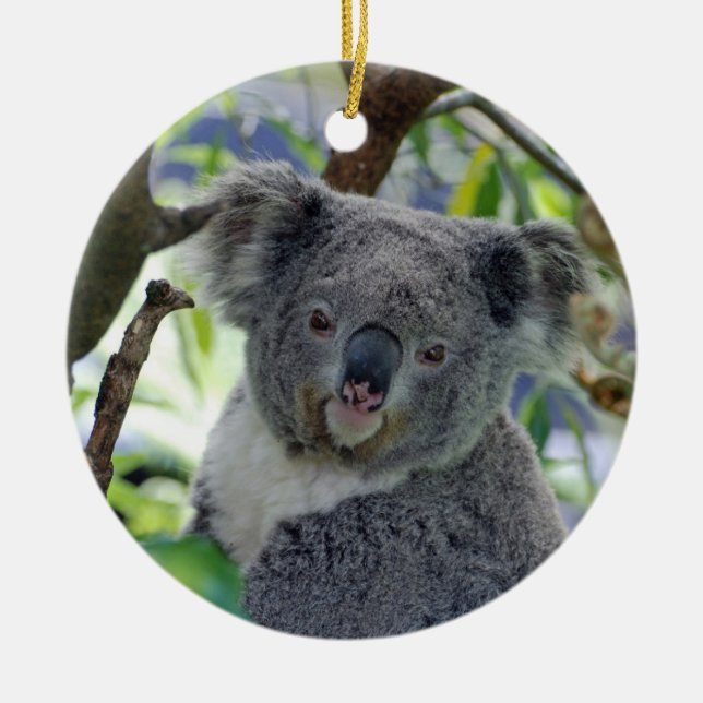 Entzückende Babykoala Weihnachtsverzierung Keramik Ornament (Vorne)