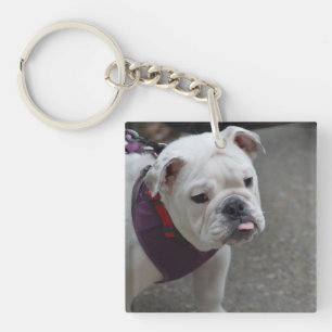 Entzückende Bulldogge Schlüsselanhänger