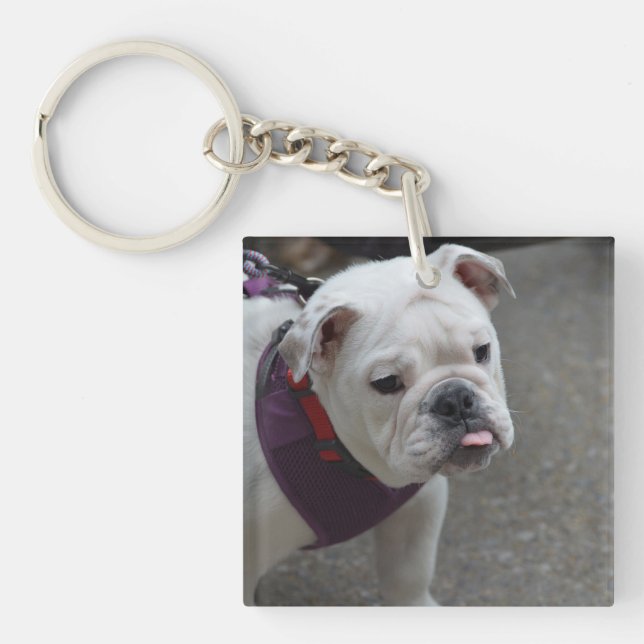 Entzückende Bulldogge Schlüsselanhänger (Vorderseite)