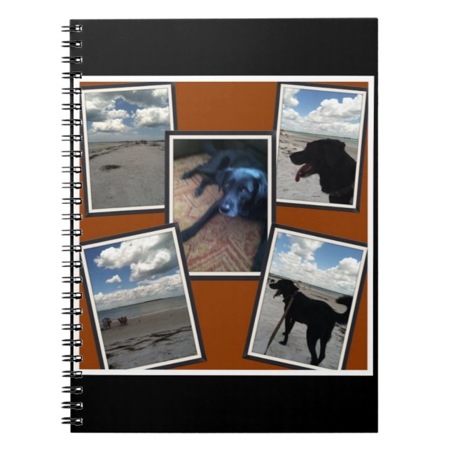 entzückende Collage der Fotos des Strandes und des Notizblock (Vorderseite)