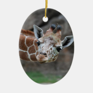 Entzückende Giraffen-Verzierung Keramikornament