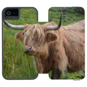 Entzückende Hochland-Kuh Incipio Watson™ iPhone 5 Geldbörsen Hülle