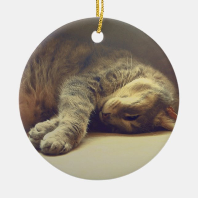 Entzückende Katze Keramik Ornament (Vorne)
