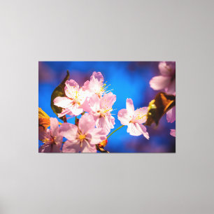 Entzückende Kirschblüten Leinwanddruck
