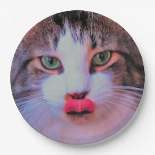 Entzückende niedliche rosa Zunge der Katzen-w, di Pappteller