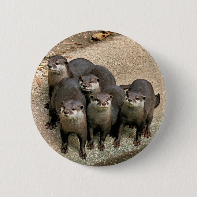 Entzückende Otter-Familie Button (Vorderseite)