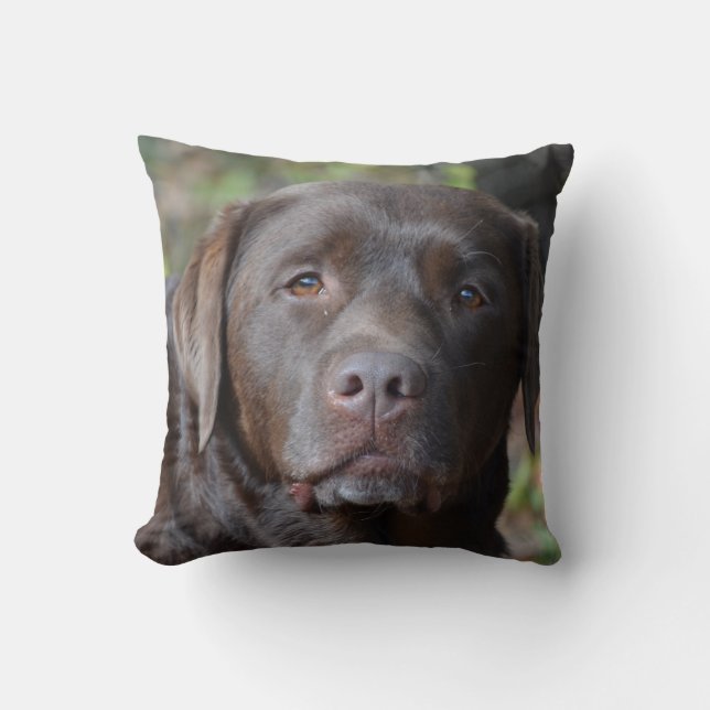 Entzückende Schokolade Labrador retriever Kissen (Vorderseite)